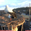06_45-nest.jpg