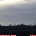 07_10-mast.jpg