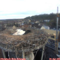 07_10-nest.jpg