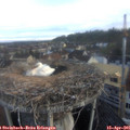 07_15-nest.jpg