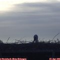 07_20-mast.jpg