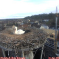 07_25-nest.jpg