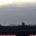 07_30-mast.jpg