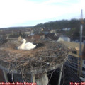 07_30-nest.jpg