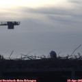 07_40-mast.jpg