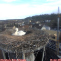 07_40-nest.jpg