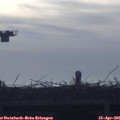 07_45-mast.jpg