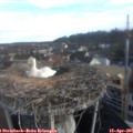 07_45-nest.jpg