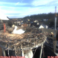 07_55-nest.jpg