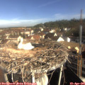 09_05-nest.jpg