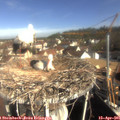 09_25-nest.jpg