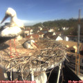 09_35-nest.jpg