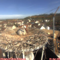09_40-nest.jpg