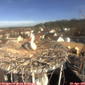 09_45-nest.jpg