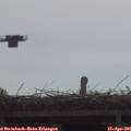 09_55-mast.jpg