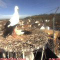 10_05-nest.jpg