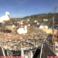 11_15-nest.jpg