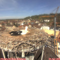 11_55-nest.jpg