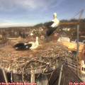 12_05-nest.jpg