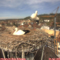 12_15-nest.jpg