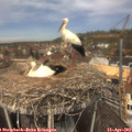 12_25-nest.jpg