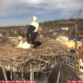 12_30-nest.jpg