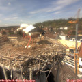 14_25-nest.jpg