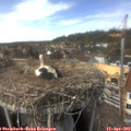 14_40-nest.jpg