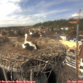 15_00-nest.jpg