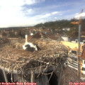 15_05-nest.jpg