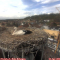 15_55-nest.jpg