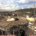 16_00-nest.jpg