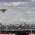 16_05-mast.jpg