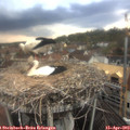 16_25-nest.jpg