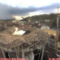 16_30-nest.jpg