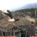 16_45-nest.jpg
