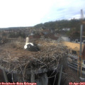 18_05-nest.jpg
