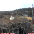18_10-nest.jpg