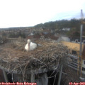 18_15-nest.jpg