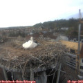 18_25-nest.jpg