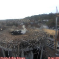 18_45-nest.jpg