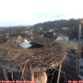 06_35-nest.jpg