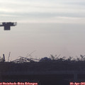 06_40-mast.jpg