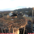 06_40-nest.jpg