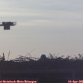 06_45-mast.jpg