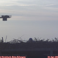 06_50-mast.jpg