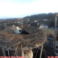 06_50-nest.jpg
