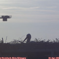 06_55-mast.jpg