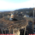 06_55-nest.jpg