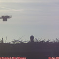 07_00-mast.jpg